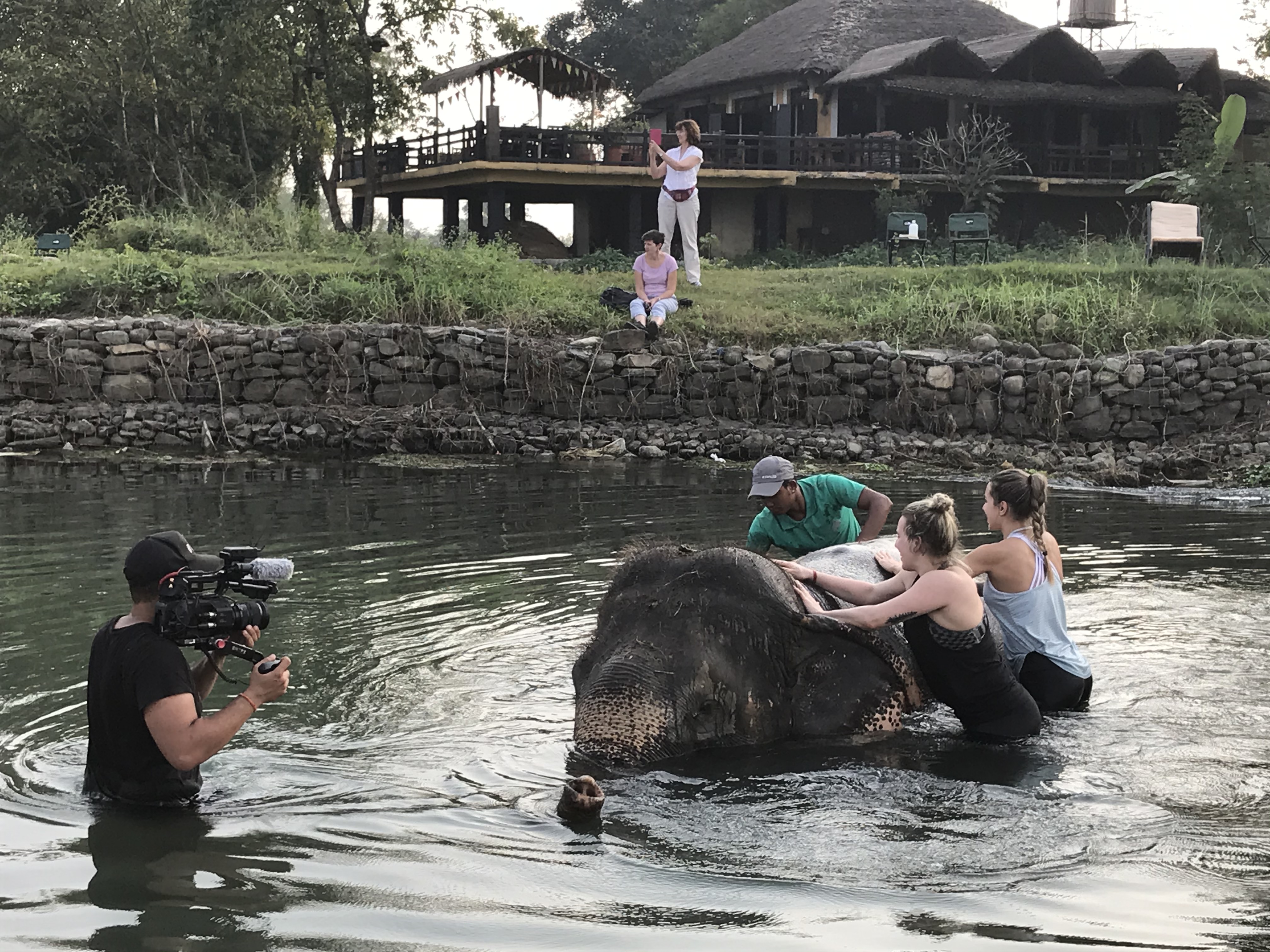 Elephant Bath at Sapana Village Lodge